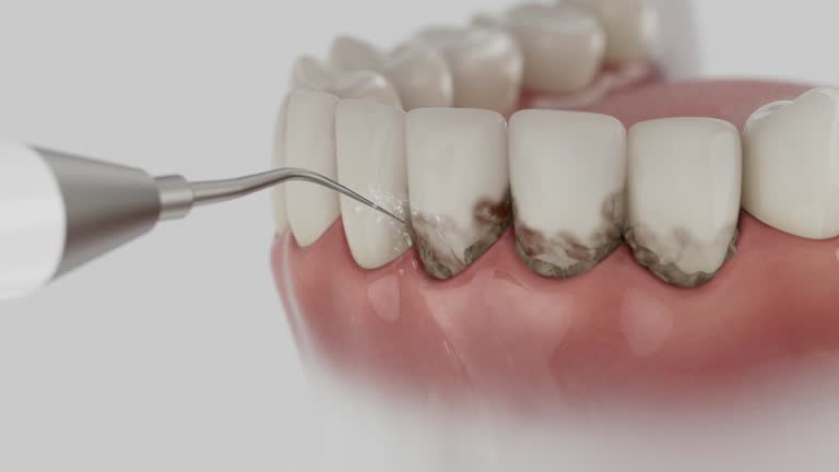 Reliable Dental contractor in Woods Hole, MA by Dentist Open Now